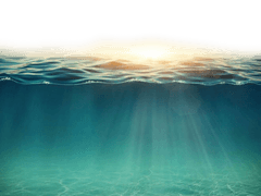 맞이할 아침에 대한