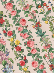 미사고의 클튜 소재