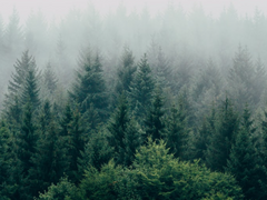 말바라바 여행기