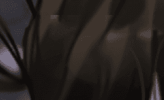 슈홉 갸루피스~