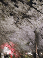 신장과 달의 공주 