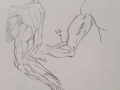 2022년 5월 7일 (토) <해부학>