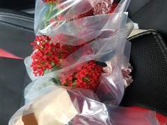 2022. 5. 8. 어버이날