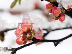 [천관사복 5부 스포컾] 사라진 신들과의 통음通音을 위하여