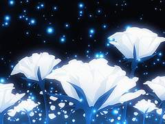 사쿠라기 코나 / 18 / XX