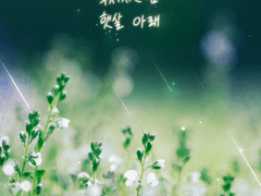 샘플 012_겨울 부서지는 봄 햇살 아래