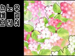 스노우베리 브러쉬