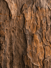 장르연성모음집