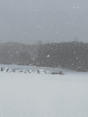 Martirio, el descubridor