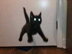 사랑은 방울방울 C