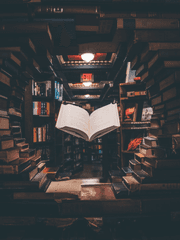 하름의 포타전력