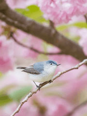 우리의 봄은 빛날수 있을까