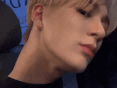 제노로 이런 거 어때요?