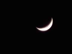 모두 미안해요.