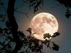 [두광] 밤의 귀신 01