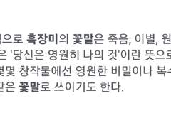 한키사 썰 백업 3