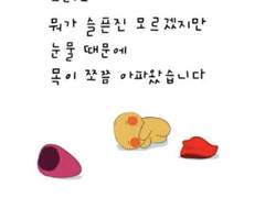 절에 갔던 이야기