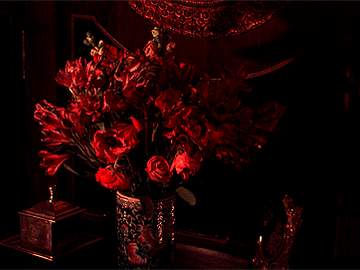 𝑭𝒐𝒓 𝑬𝒄𝒍𝒊𝒏𝒆