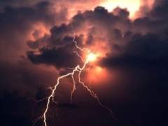 황로 | 뇌공 | 류 | XY | 32