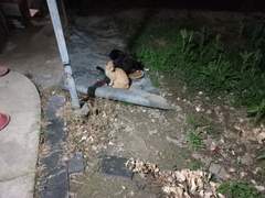 어쩌다보니 아아아니, 눈떠보니 여행사 CEO가 되는 것입니까요??!