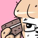 단독 콘서트(完)