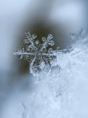 Ivan Mikhailovich Zelmanov