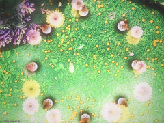 [효월스포]빠른 멘퀘 진행을 위한 83렙 1인임무 배치물 지도