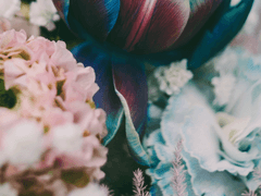 어떤 섭리와 안배에 대하여