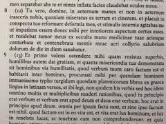 아우구스티누스, 고백록 통독 — 19