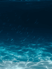 아마도 이것은 패논설정 바로잡기