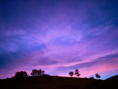 한 하연 / 19 / XX