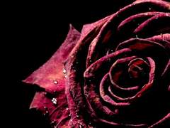 채찬영, 2학년, 청달커