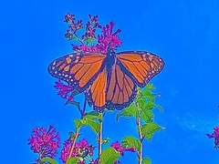 [렌탄] 영점 : 零點