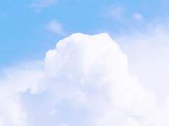 별이 빛나는 밤