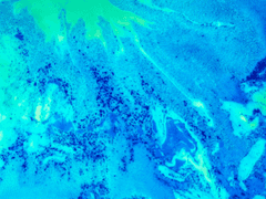 [ Sphene El Euclase / Ravenclaw ]