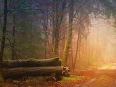 2021년 10월 글조각들 모음