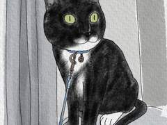 [길냥이 그리기 챌린지] 026 새로 태어난 턱시도