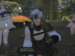 2022 알축제 스크립트 박제