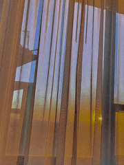 오늘의 나,내일의 너