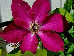 포스타입 1화 공모전 본상 수상작