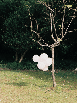 삼켜지지 않는 것들 