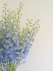 다시 만나는 날