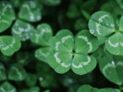 2 연인이 사라지니