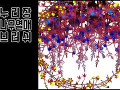 누리장나무 열매