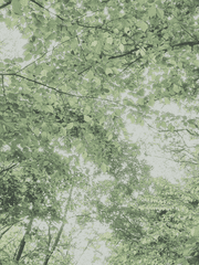 그리움이 눈물로 물들다