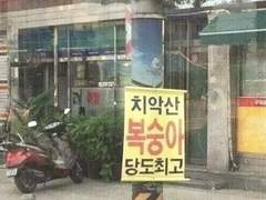 치악산 복숭아 당도 최고 TALK