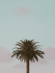 단골카페 속 소설책