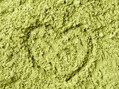 <지구젤리> 사고? 도발? 하, 복잡도 하셔라.