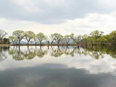 경(鏡)과 감(鑑)/이상진