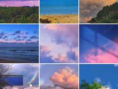 사진을 기록합니다.